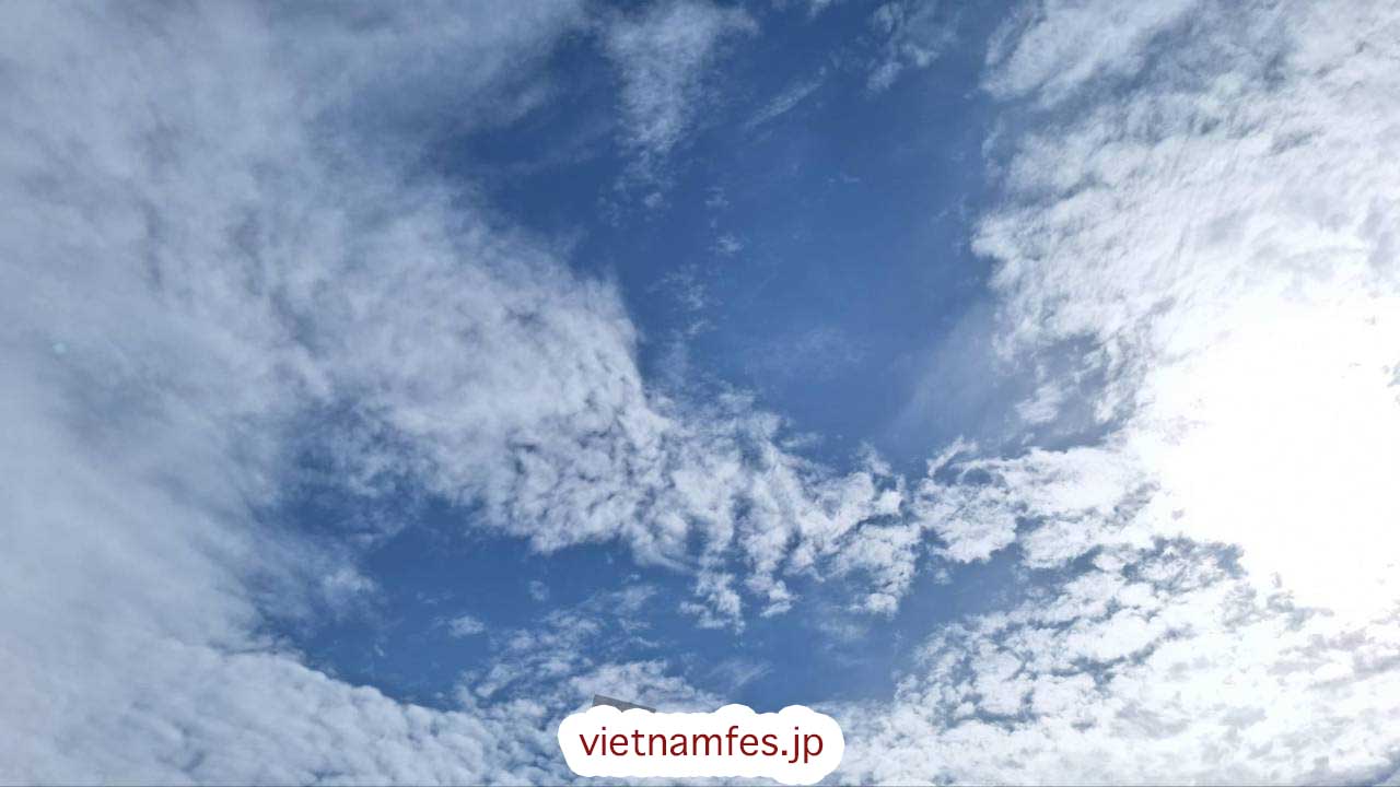 労災上乗せ保険は建設業の義務