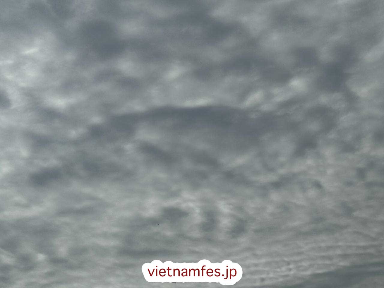 労災上乗せ保険は建設業の義務